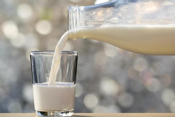 سرانه مصرف شیر در دنیا ۱۶۰؛ در ایران حدود ۷۰ کیلو