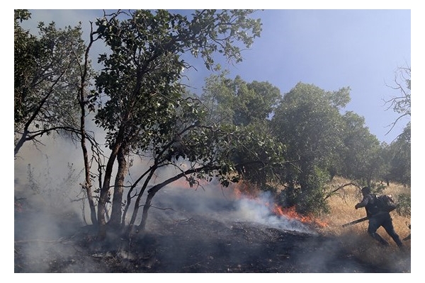 تلاش برای مهار آتش در جنگل های مریوان برای سومین روز متوالی