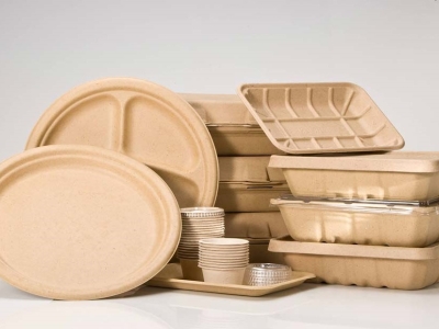 تولید ظروف یکبار مصرف از مواد تجدیدپذیر در دستور کار صنعت قم