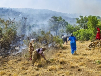 جان دادن جنگل های مریوان در آتش+تصاویر