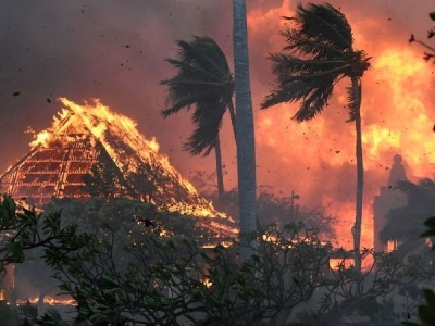 114 کشته و 850 مفقود در پی آتش سوزی در جزیره مائویی
