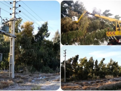 عملیات هرس شاخه درختان درگیر با شبکه توزیع برق در قم به اجرا درآمد