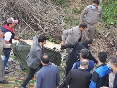 خرس قهوه‌ای و پلنگ ایرانی قربانی ناآگاهی مردم و تعلل مسئولان+عکس