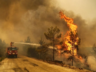 آتش سوزی در جنگل‌های ترکیه