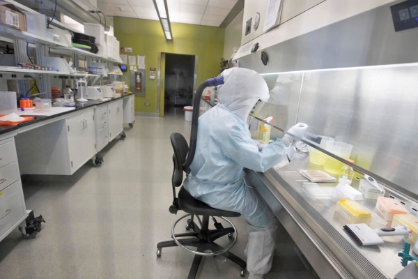 تحقیقات واکسن ایرانی کرونا آماده ورود به فاز حیوانی است