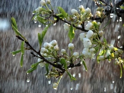 پیش‌بینی بارش باران در اغلب استان‌ها در نخستین روز سال نو
