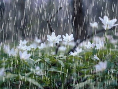 بارش باران از امروز تا پنج‌شنبه در چند استان کشور