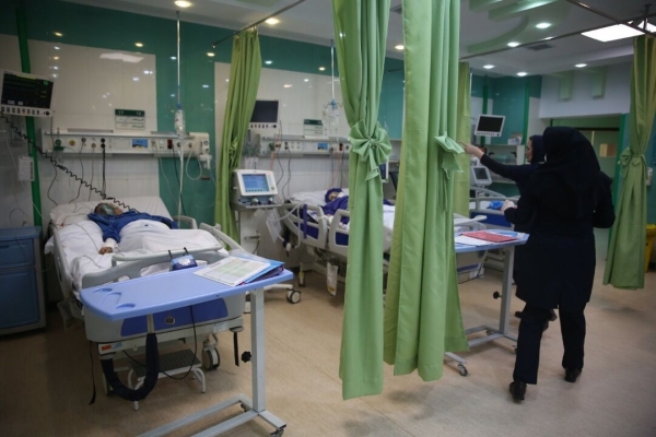آخرین وضعیت مجروحان ناشی از حمله گرگ در همدان