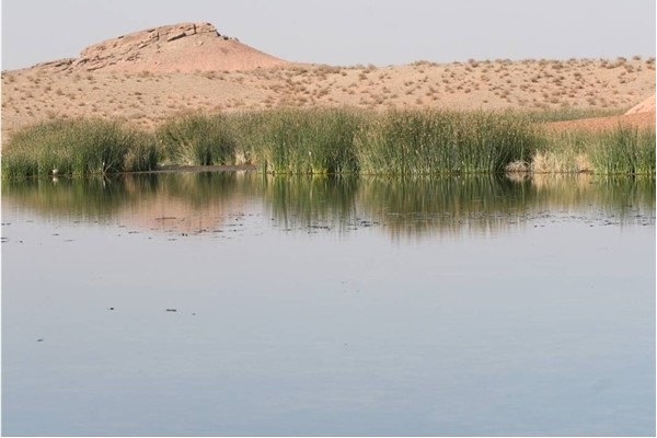 تالاب مره قم از مهمترین آبگیرهای موجود در فلات مرکزی ایران است