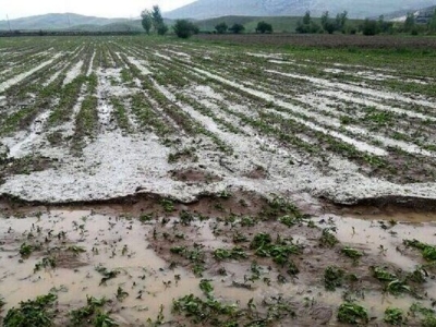 هشدار هواشناسی درباره خسارت به محصولات کشاورزان در ۱۹ استان