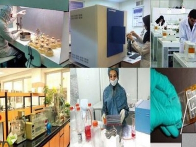 ۲۸۰ شرکت در زیست بوم فناوری استان قم فعالیت می‌کنند