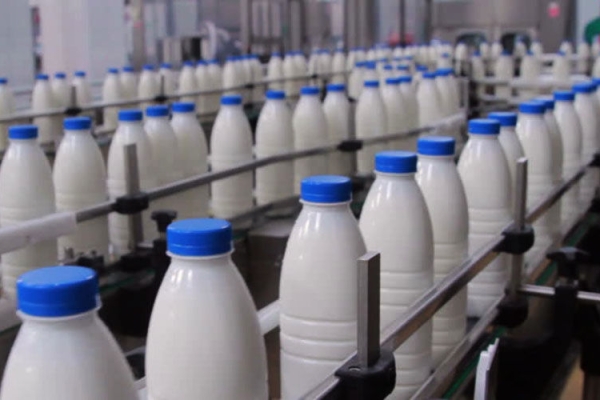 هشدار استاندارد تهران درباره شیر پگاه فاسد در بازار