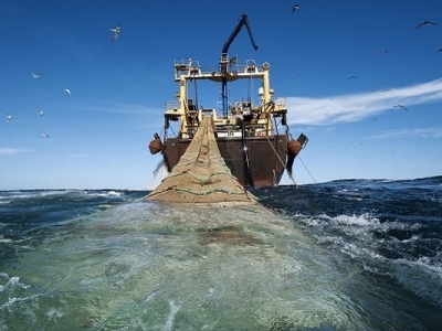 توقیف ۲۰۴فروند شناور صیادی متخلف در آبهای خلیج فارس