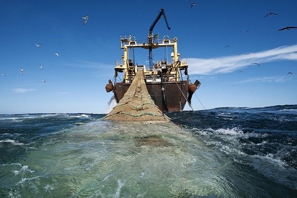 توقیف ۲۰۴فروند شناور صیادی متخلف در آبهای خلیج فارس