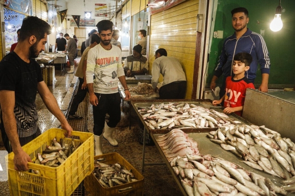 افزایش مصرف ماهی به دلیل گرانی گوشت قرمز