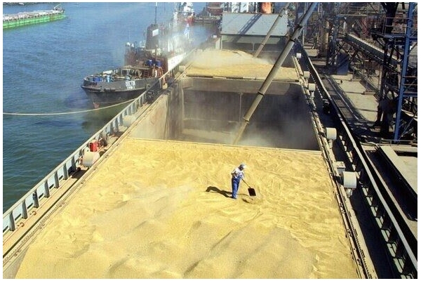 واردات ۱.۷ میلیون تن گندم در سال جاری/رشد ۱۱۳ درصدی واردات