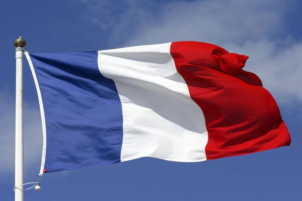 فرانسه بار دیگر خواستار آزادی فریبا عادلخواه شد
