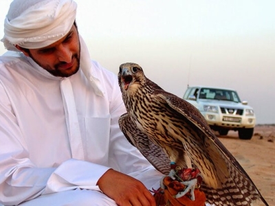 کشف۱۳ پرنده کمیاب و شکاری به ارزش ۵۰ میلیارد تومان در دشتستان
