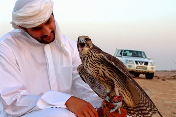 قاچاق رسمی پرندگان ایرانی با مجوز سازمان محیط زیست