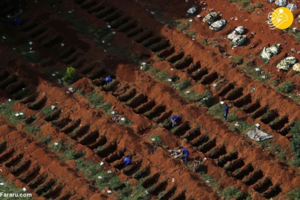 تصاویر هوایی از دفن قربانیان کرونا در قبرستان سائوپائولو