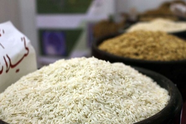 واردات برنج کلاً ممنوع شد