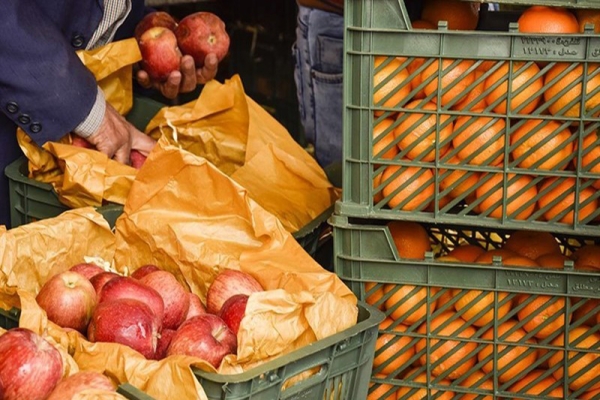 توزیع سیب و پرتقال شب عید در میادین با قیمت زیر ۱۳ هزار تومان