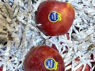 هتک حرمت به قرآن در بین میوه‌های صادراتی!/شرکت تجاری باید شناسایی شود