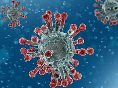 کشف گونه جهش یافته ویروس کرونا به نام پیرولا