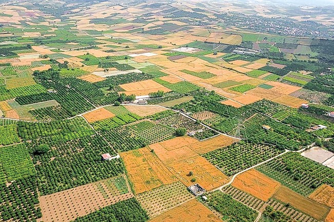 شناسایی ۷۲۴ فقره تغییر کاربری غیرمجاز اراضی کشاورزی در قم 