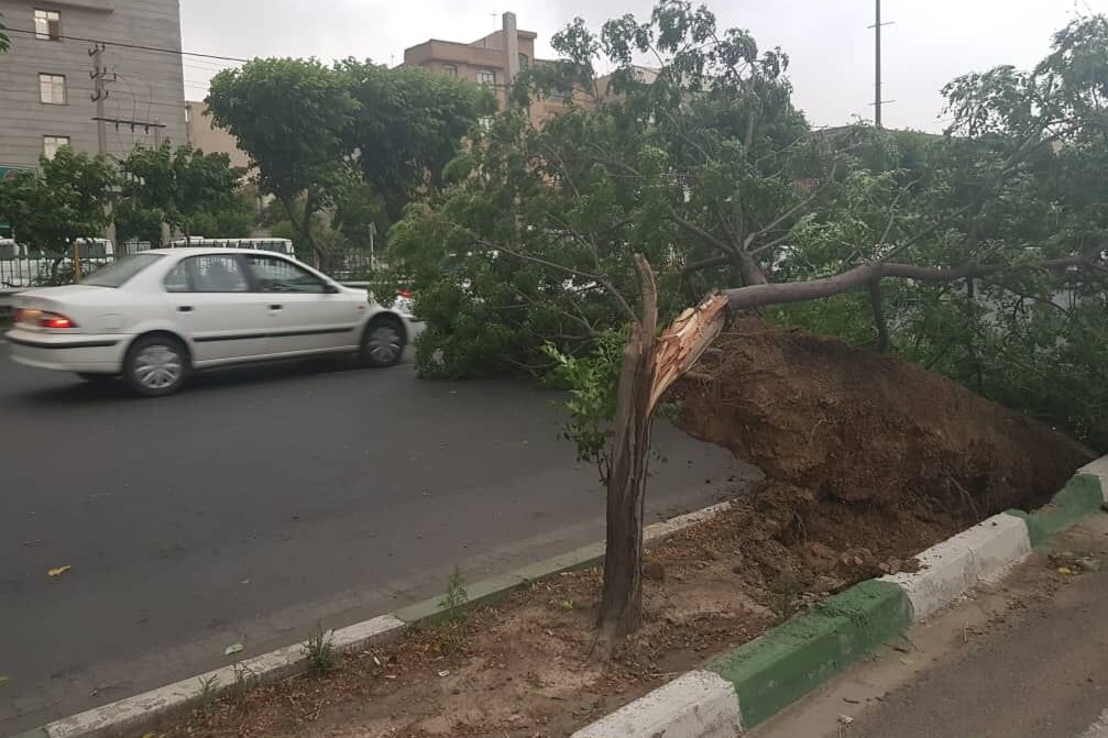 ۱۴۰ حادثه با وقوع طوفان و باد شدید در پایتخت+عکس