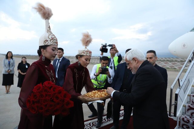  دیدار نخست وزیر روسیه با محمدرضا عارف