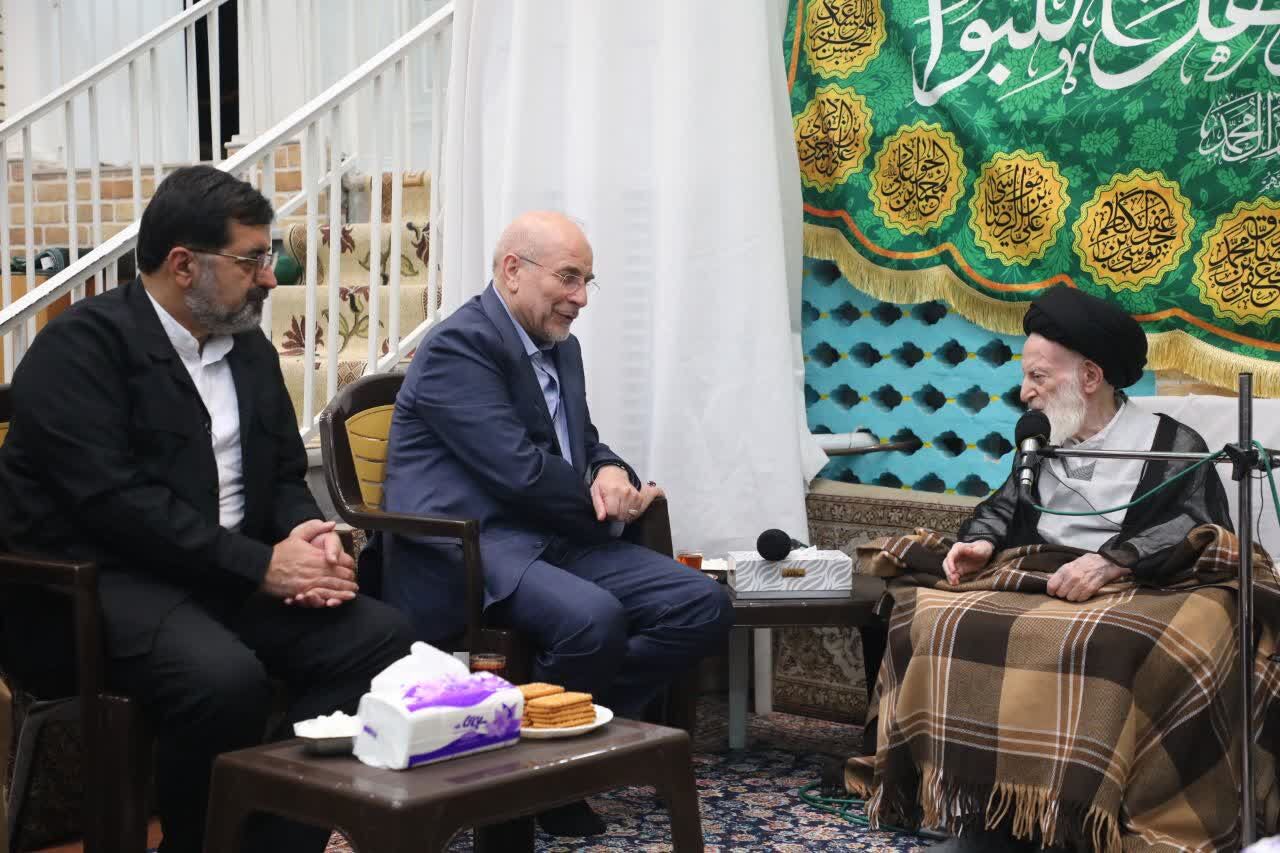 دیدار رئیس مجلس شورای اسلامی با آیت الله شبیری زنجانی
