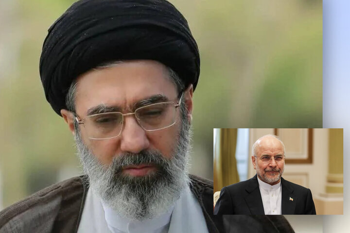 دیدار رئیس مجلس شورای اسلامی با رهبر معظم انقلاب