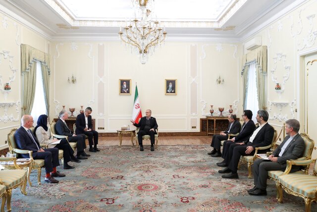 پزشکیان خطاب به سفیر اتریش: در خنثی‌سازی تبلیغات نادرست ضدایرانی نقش‌آفرین باشید