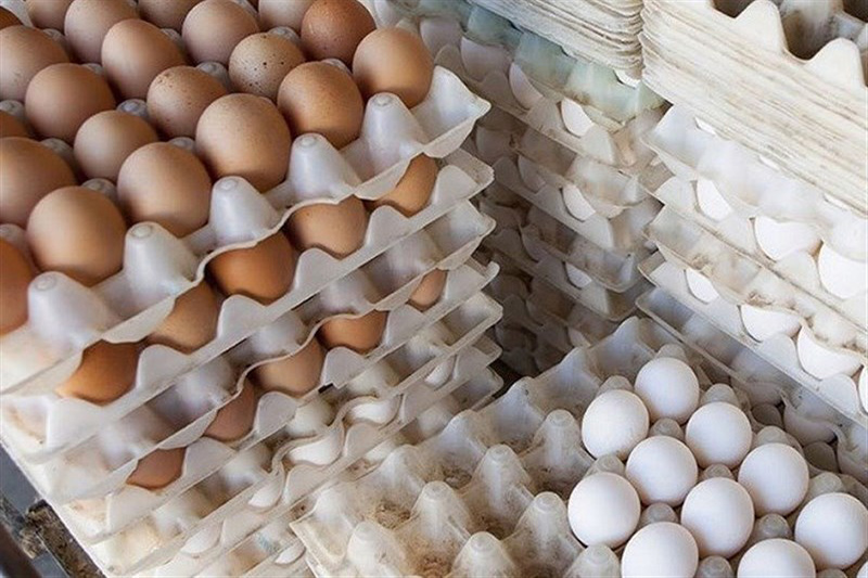 تخم‌مرغ زیر نرخ مصوب هم خریدار ندارد
