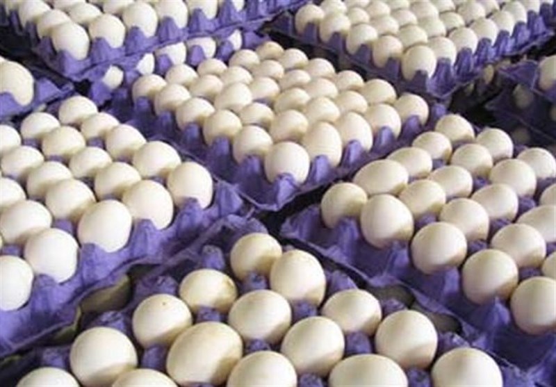 ۶ نوع تخم مرغ‌ که از سم هم مضرتر هستند