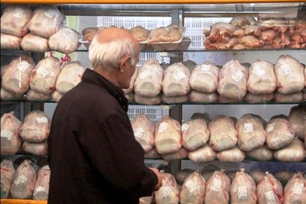  ۵۰ هزار تن مرغ خارجی در راه بازار ایران/برزیل و ترکیه در اولویت هستند
