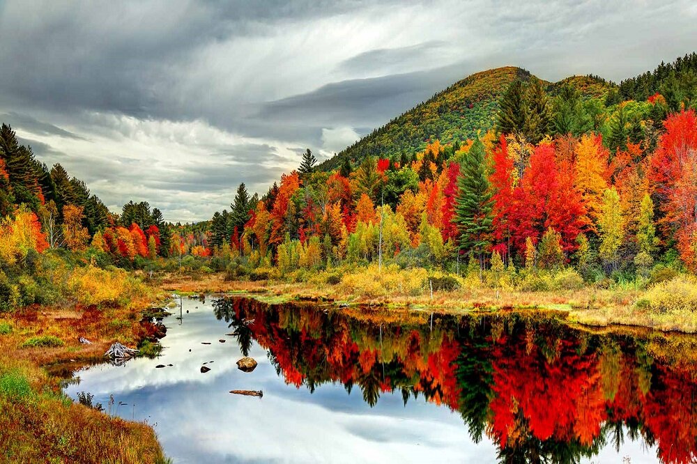 رنگ‌های دیدنی پاییزی در سراسر جهان
