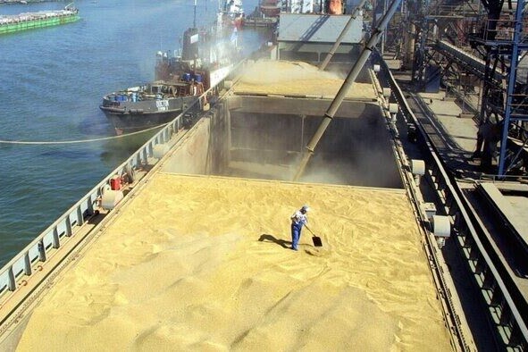 واردات ۱.۷ میلیون تن گندم در سال جاری/رشد ۱۱۳ درصدی واردات