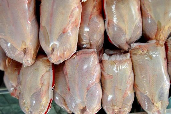 واردات ۱۲۰ هزارتن مرغ به کشور تصویب شد