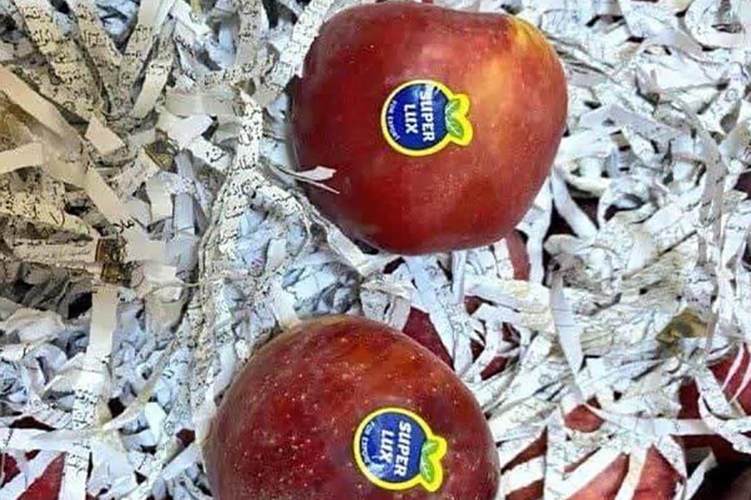 هتک حرمت به قرآن در بین میوه‌های صادراتی!/شرکت تجاری باید شناسایی شود